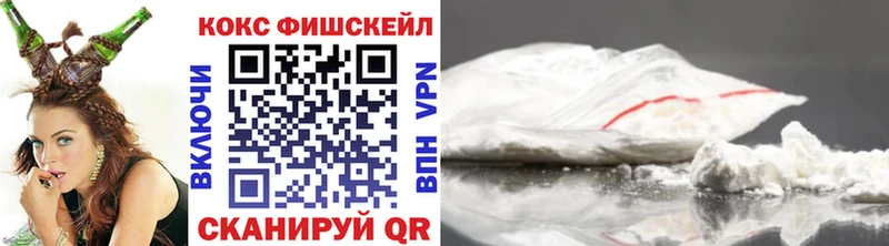КОКАИН Fish Scale  Купить где  Киселёвск 