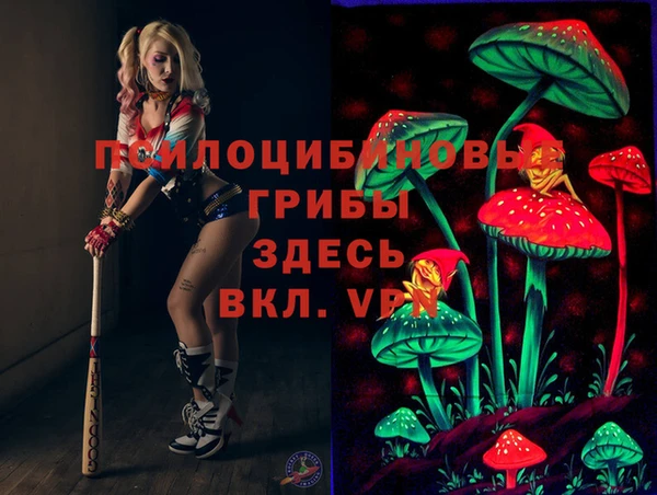 гашик Верхнеуральск