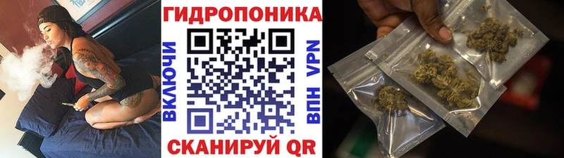 МАРИХУАНА план  Купить  Киселёвск 